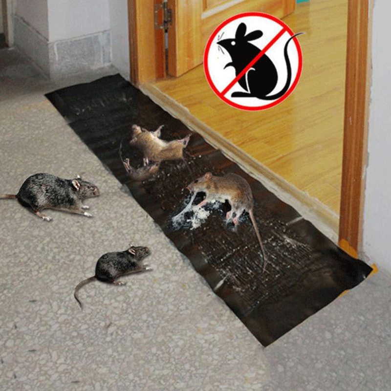 Mouse Trap Board - Mouse Carpet - Long Glue Sheet For Mice - Mouse Glue Trap